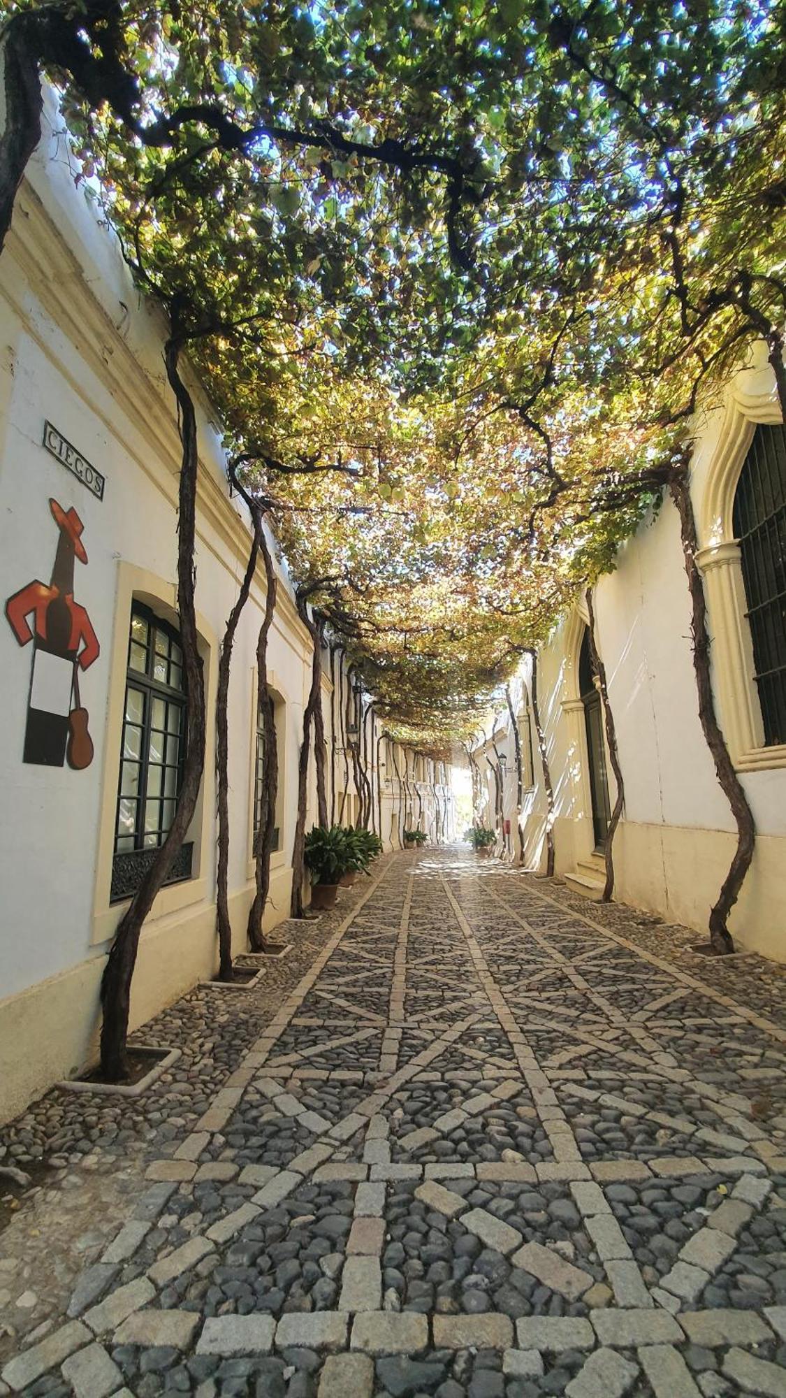 Atico Sonnenschein Apartment Jerez de la Frontera Luaran gambar